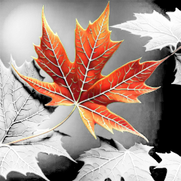 Mark Virtue<br>the most prudent programming tutor I've ever listened to